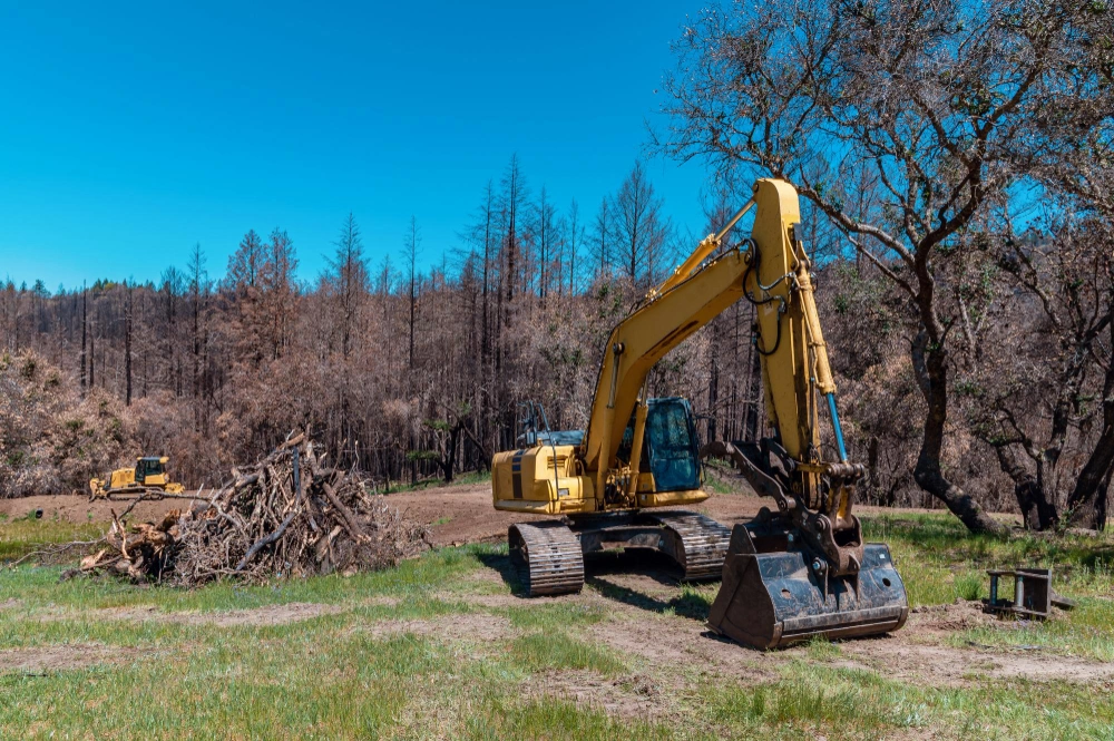 heavy equipment land clearing by excavation pro la Los Angeles